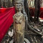 sacred-tree2