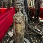 sacred-tree2